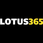 lotus 365 profile picture