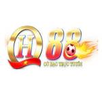 QH88vi me Profile Picture