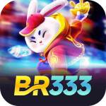 BR 333 Profile Picture