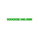 soikeobongwin Profile Picture
