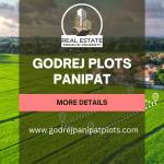 Godrej Plots Panipat Profile Picture