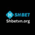 shbet vnorg Profile Picture
