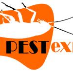 Pest Control Epping Profile Picture