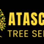 Atascocitatx tree service Profile Picture