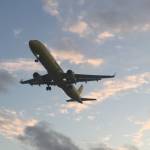 airlineshead offices Profile Picture
