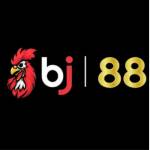 Bj88com Skin Profile Picture