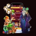 phlbest org Profile Picture