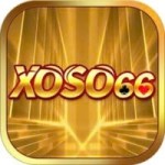 xoso66dating Profile Picture