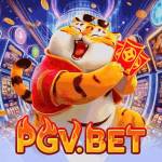 pgvbetnet Profile Picture