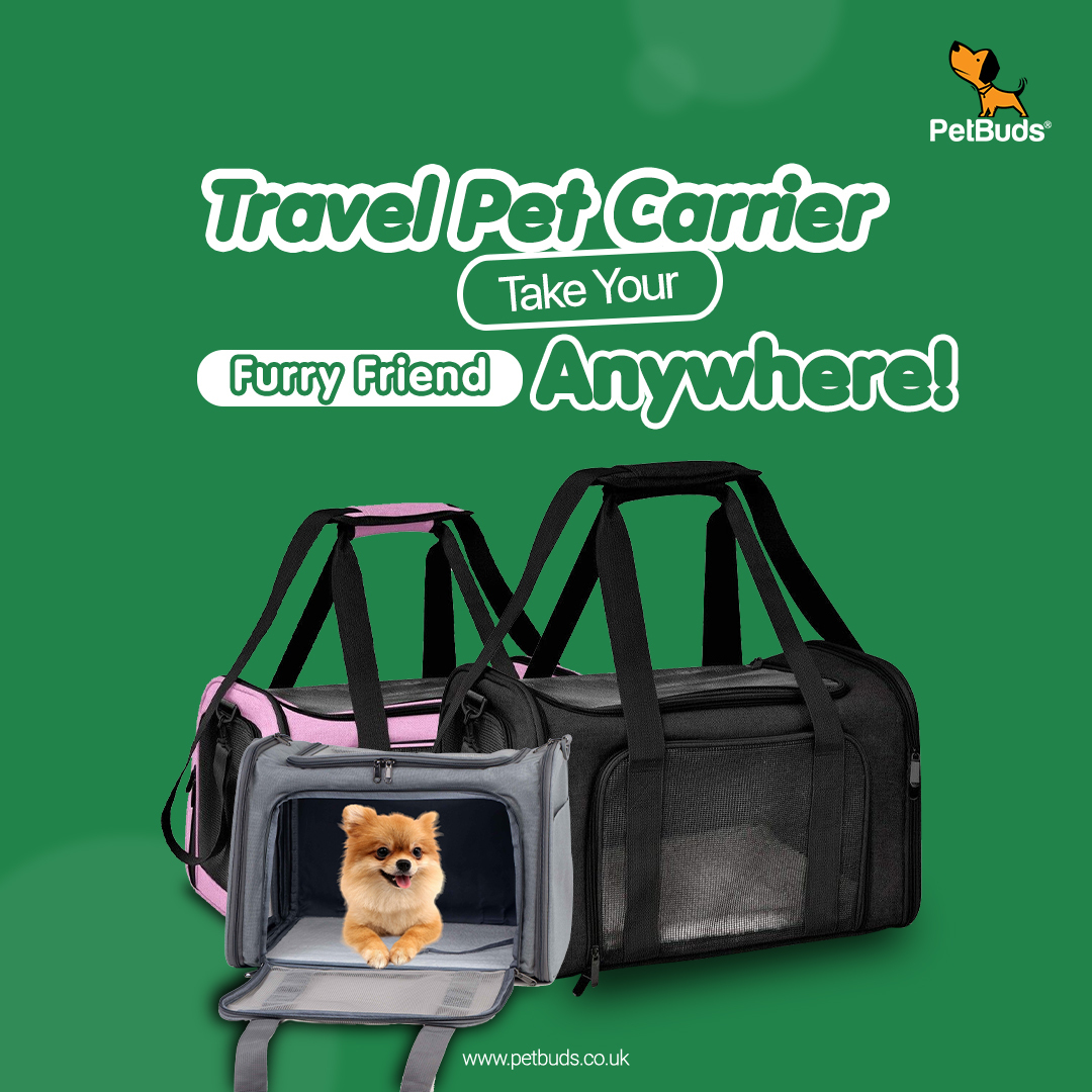 Are Dog Backpack Carriers Bad for Dogs? – Site Title