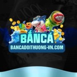 bancadoithuongvn Profile Picture