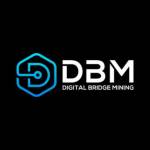 Digital Bridge Mining Profile Picture