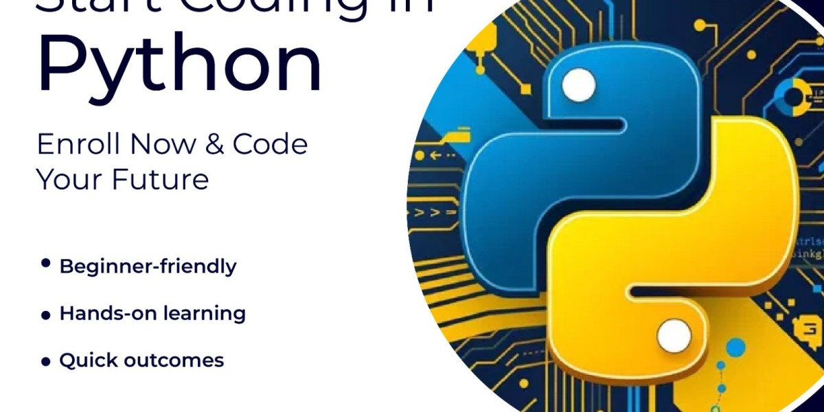 How do you write a project in Python?